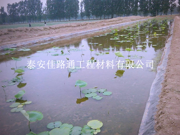 養(yǎng)殖防滲膜延伸率不足？根源在這些地方