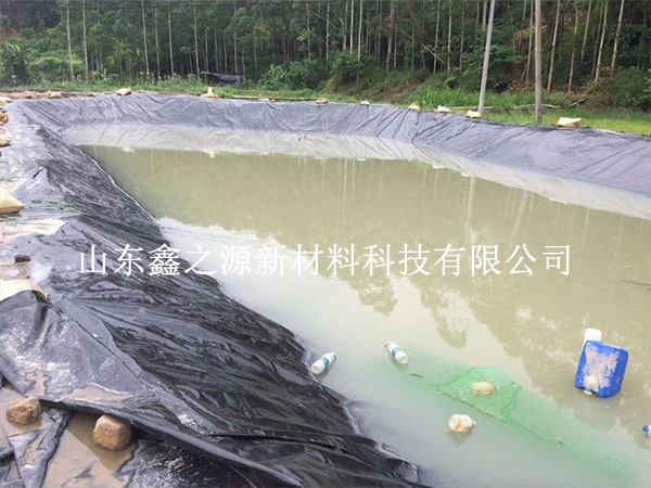 蓄水池防滲膜鋪完就交差？這套驗(yàn)收流程漏掉一步，整個(gè)工程都白干