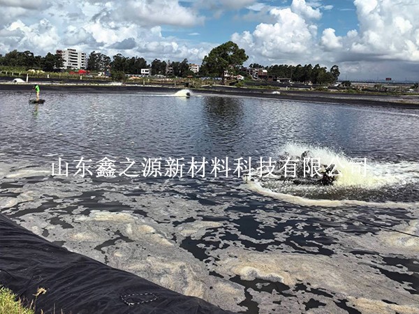 防滲膜為何頻頻漏水？深扒水產(chǎn)養(yǎng)殖滲漏背后的真實誘因