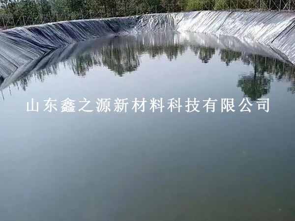 使用魚塘防滲膜，為魚兒打造優(yōu)質(zhì)生存環(huán)境