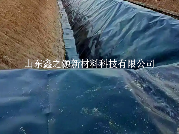 魚塘防滲膜焊縫漏了？這些檢測技巧一查一個準