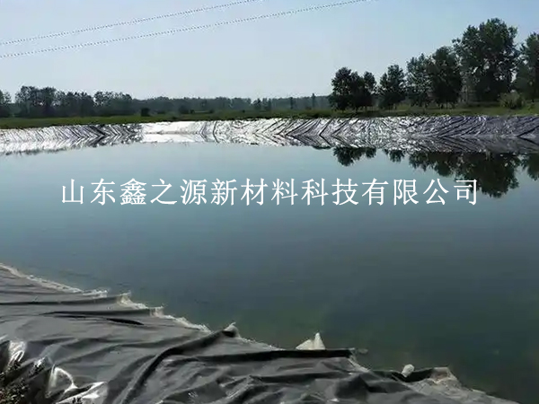 提質(zhì)增效雙管齊下：水產(chǎn)養(yǎng)殖防滲膜鋪設(shè)的高效實操指南